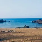 Lory-puerto Del Carmen * Тиас