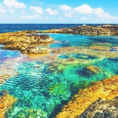 Lory-puerto Del Carmen Appartement *