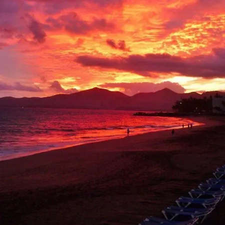 Lory-puerto Del Carmen * Tías