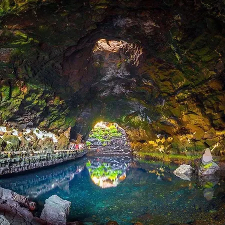 Lory-puerto Del Carmen