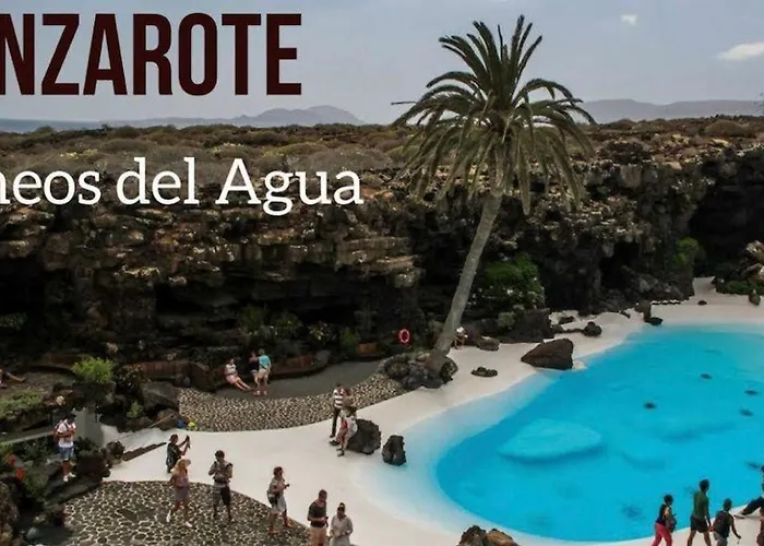 Lory-puerto Del Carmen Tías