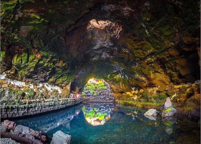 Lory-puerto Del Carmen