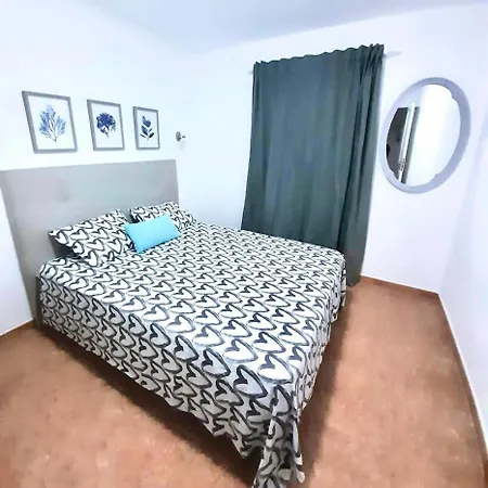 Lory-puerto Del Carmen *