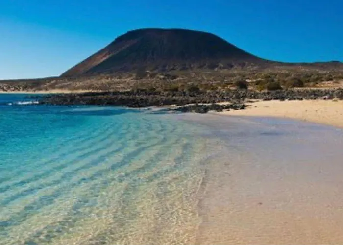 Lory-puerto Del Carmen * Tías