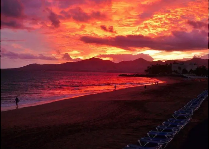 Lory-puerto Del Carmen * Tías